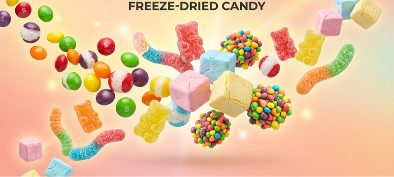 Halal Snacks UAE — Halal-Compliant Freeze-Dried Range